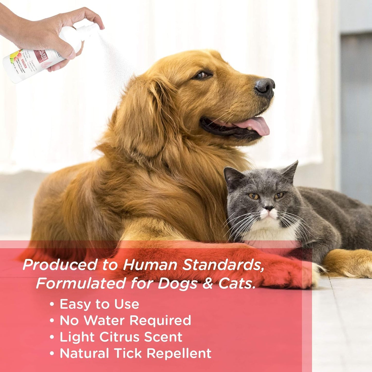 Lillian Ruff Waterless No-Rinse Dog Dry Shampoo Spray with Hydrating Essential Oils - Ph-Balanced Dry Shampoo for Dogs - Clean, Condition, Detangle & Deodorize Dry, Sensitive Skin (Citrus)