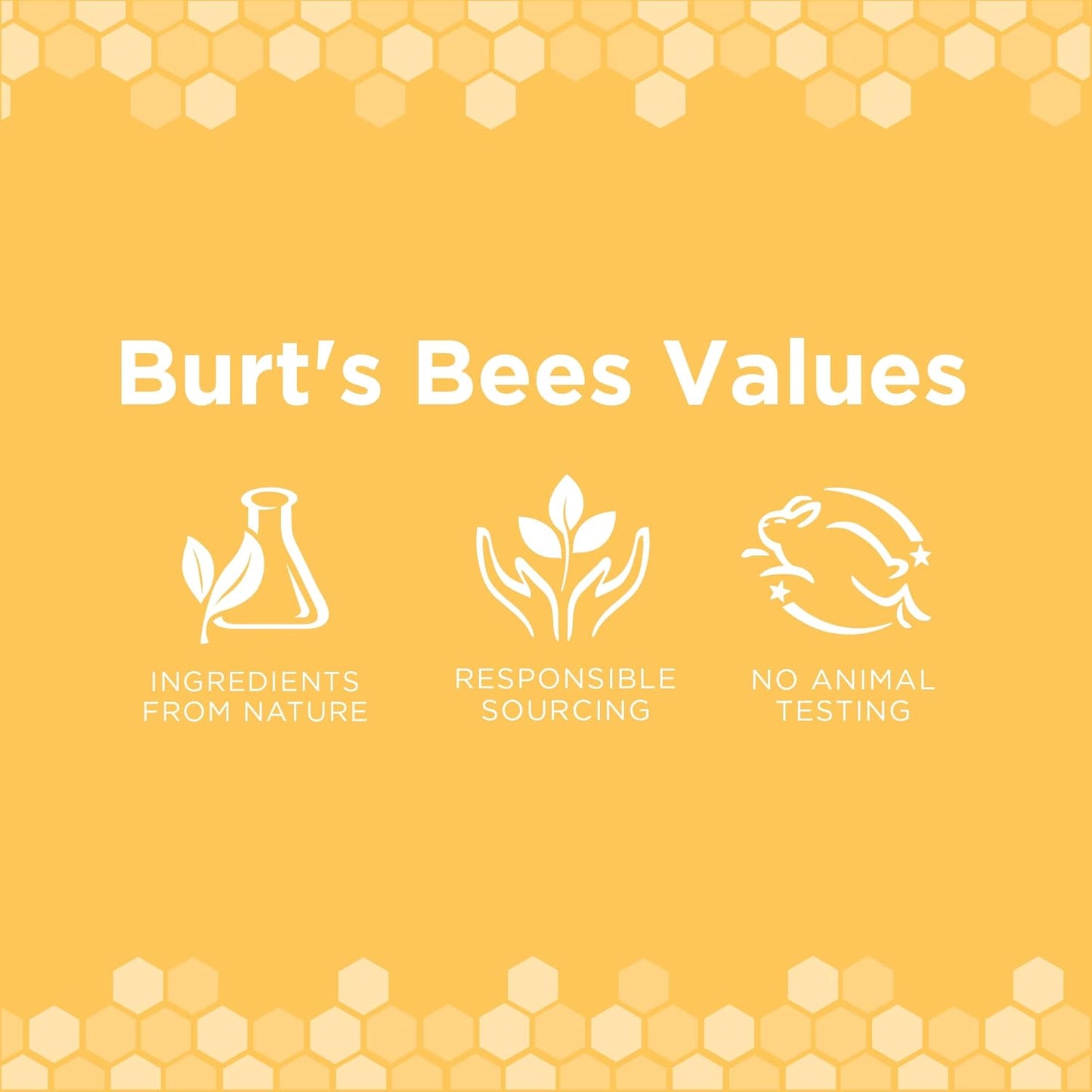 Burt's Bees - Waterless Shampoo Spray for Dogs — Apple & Honey | 10 oz
