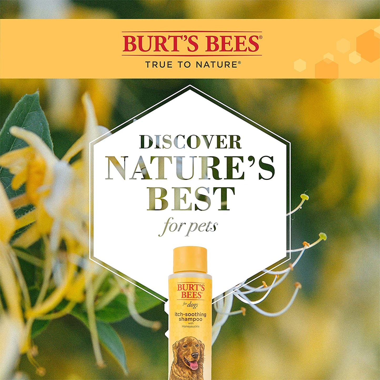Burt'S Bees Natural Itch Soothing Shampoo for Dogs | Made with Avocado & Honeysuckle | Best Dog Shampoo for Fast Itch Relief | Itch Relieving Dog Shampoo, 16 Oz 2 Pack