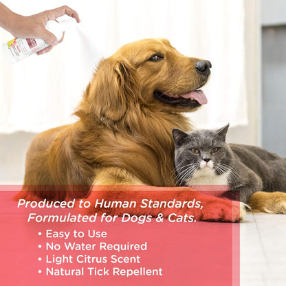 Lillian Ruff Waterless No-Rinse Dog Dry Shampoo Spray with Hydrating Essential Oils - Ph-Balanced Dry Shampoo for Dogs - Clean, Condition, Detangle & Deodorize Dry, Sensitive Skin (Citrus)