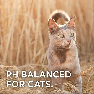 Burt’s Bees - Pet Hypoallergenic Shampoo for Cats with Shea Butter and Honey (2-Pack)